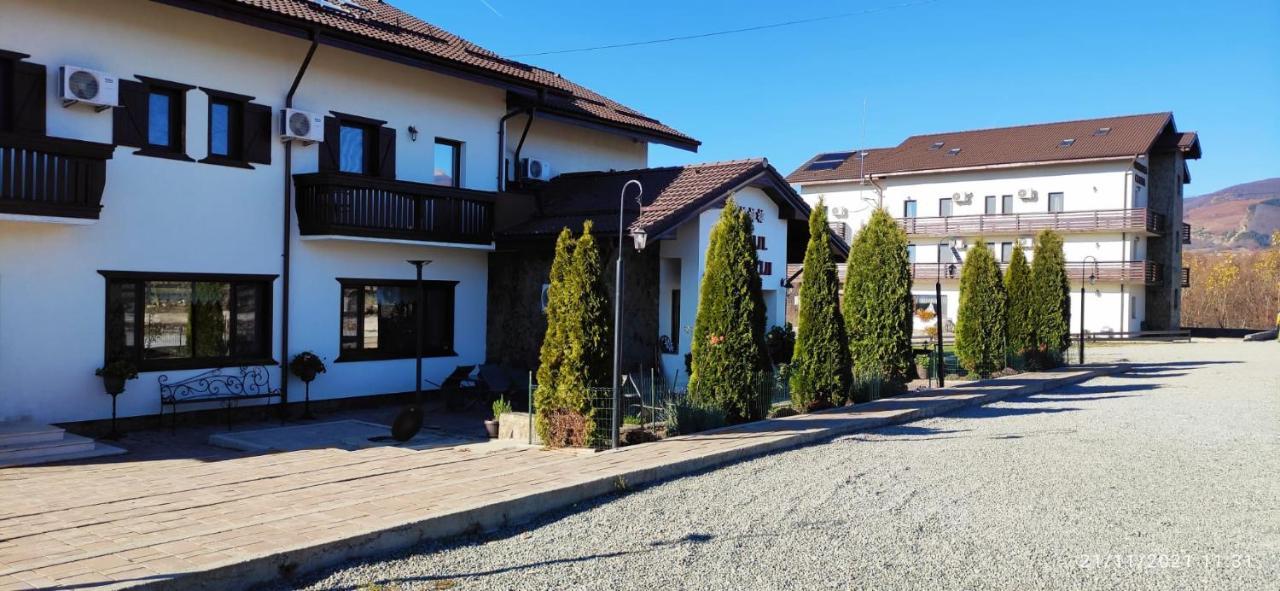 Hotel Complex Transalpina Aninisu din Vale Zewnętrze zdjęcie