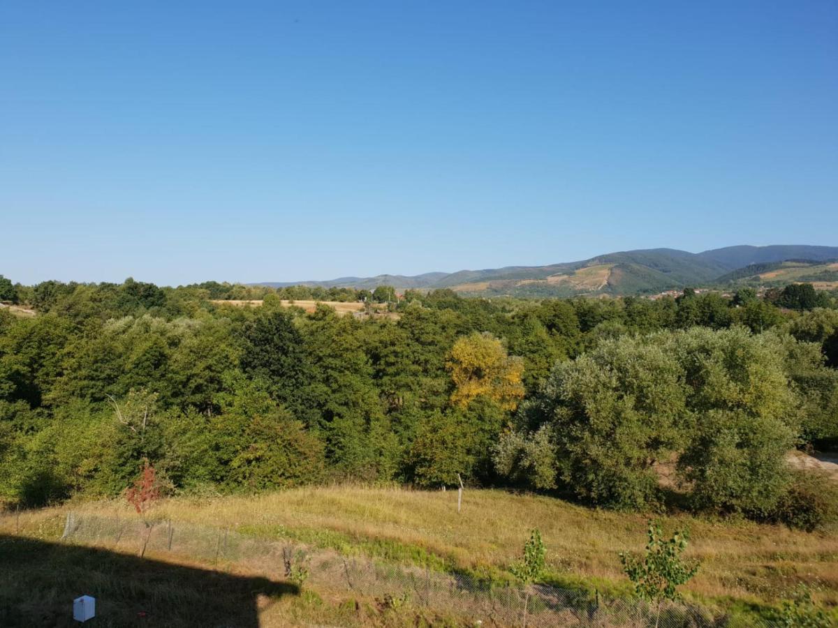 Hotel Complex Transalpina Aninisu din Vale Zewnętrze zdjęcie