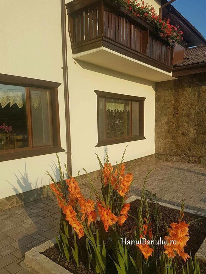 Hotel Complex Transalpina Aninisu din Vale Zewnętrze zdjęcie