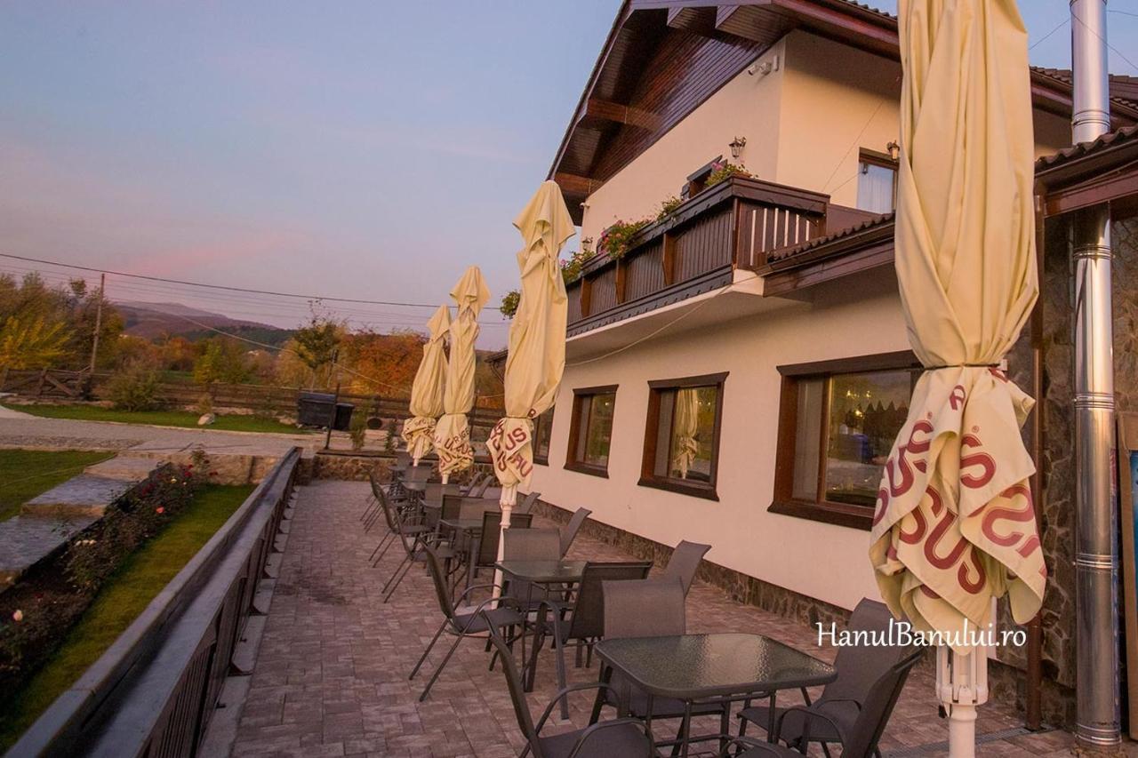 Hotel Complex Transalpina Aninisu din Vale Zewnętrze zdjęcie