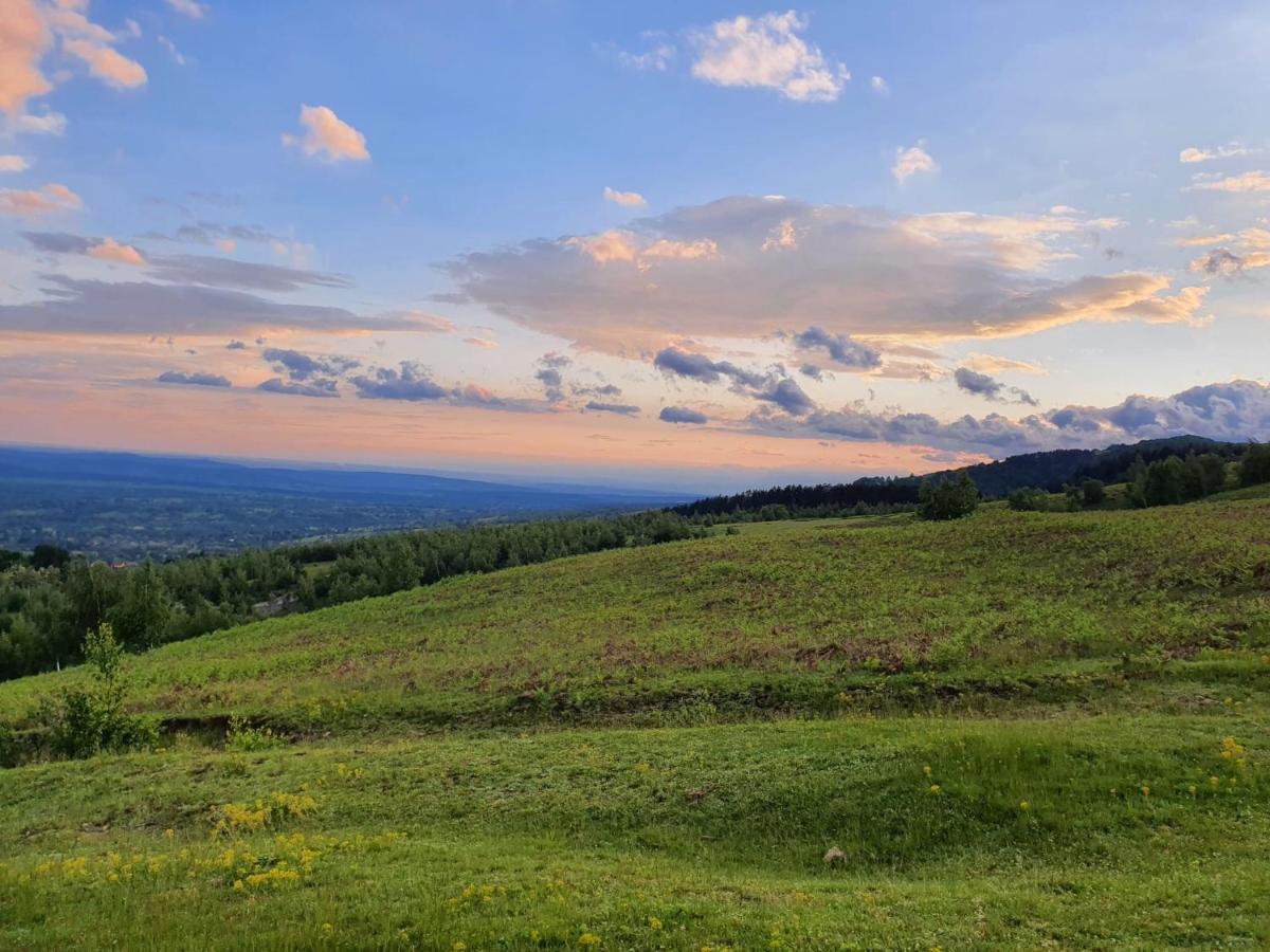 Hotel Complex Transalpina Aninisu din Vale Zewnętrze zdjęcie