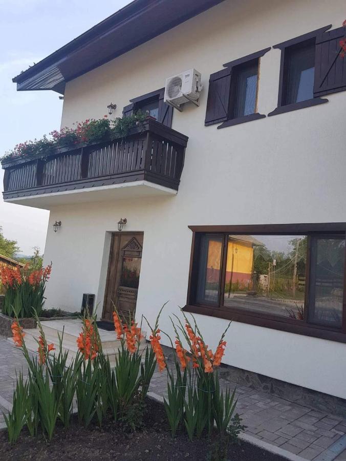 Hotel Complex Transalpina Aninisu din Vale Zewnętrze zdjęcie