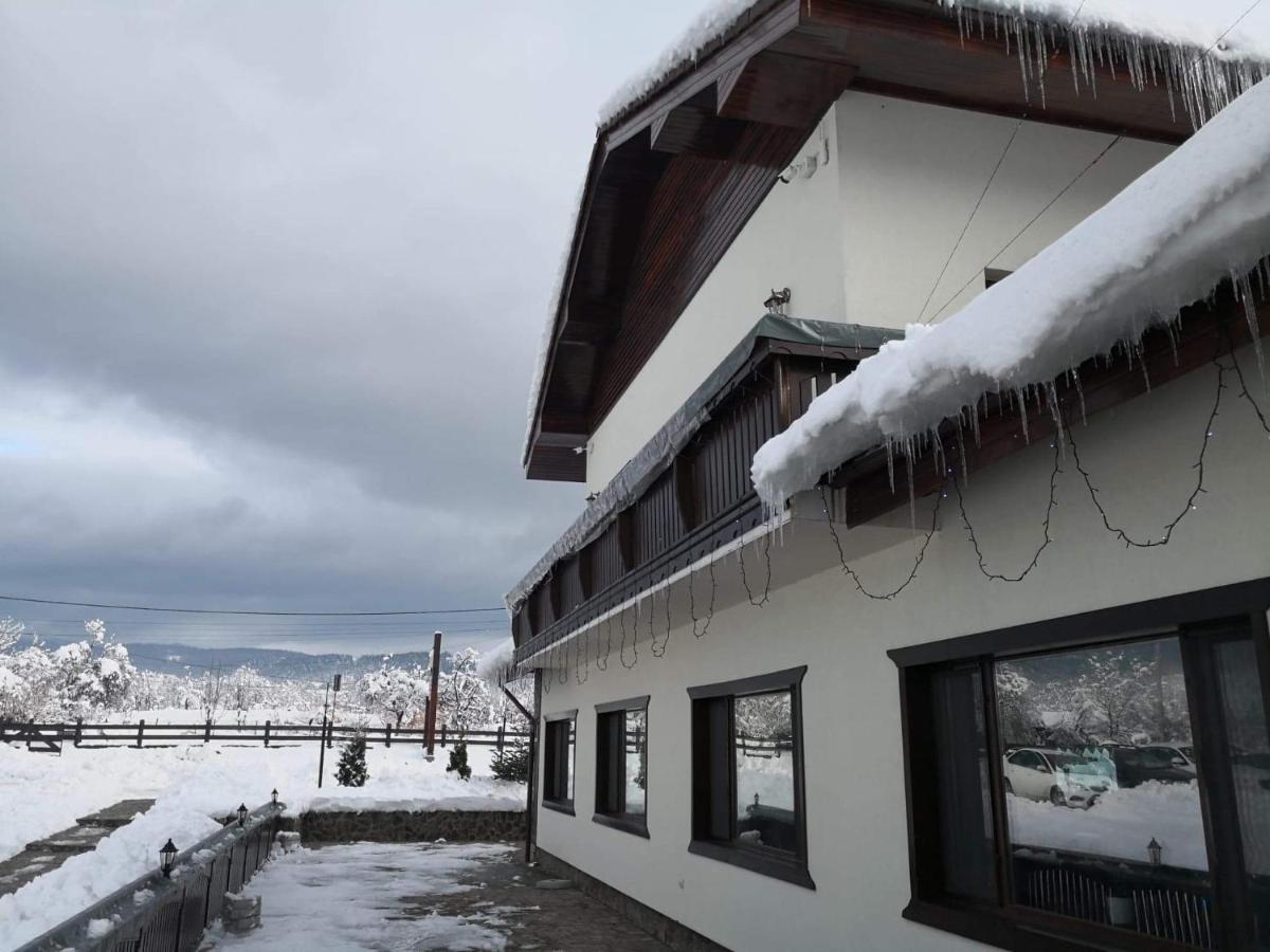Hotel Complex Transalpina Aninisu din Vale Zewnętrze zdjęcie