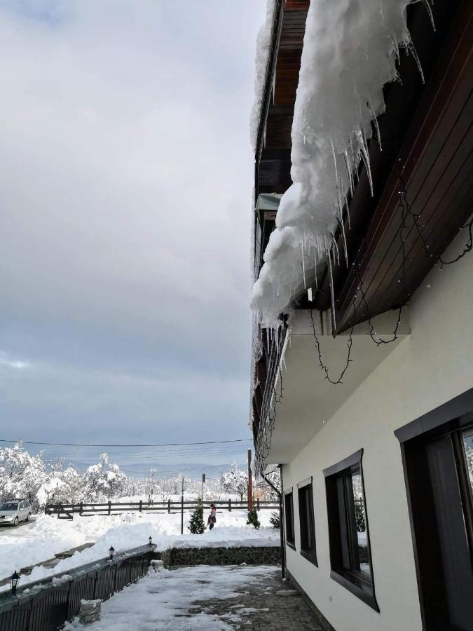 Hotel Complex Transalpina Aninisu din Vale Zewnętrze zdjęcie