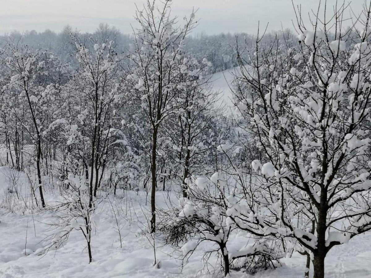 Hotel Complex Transalpina Aninisu din Vale Zewnętrze zdjęcie