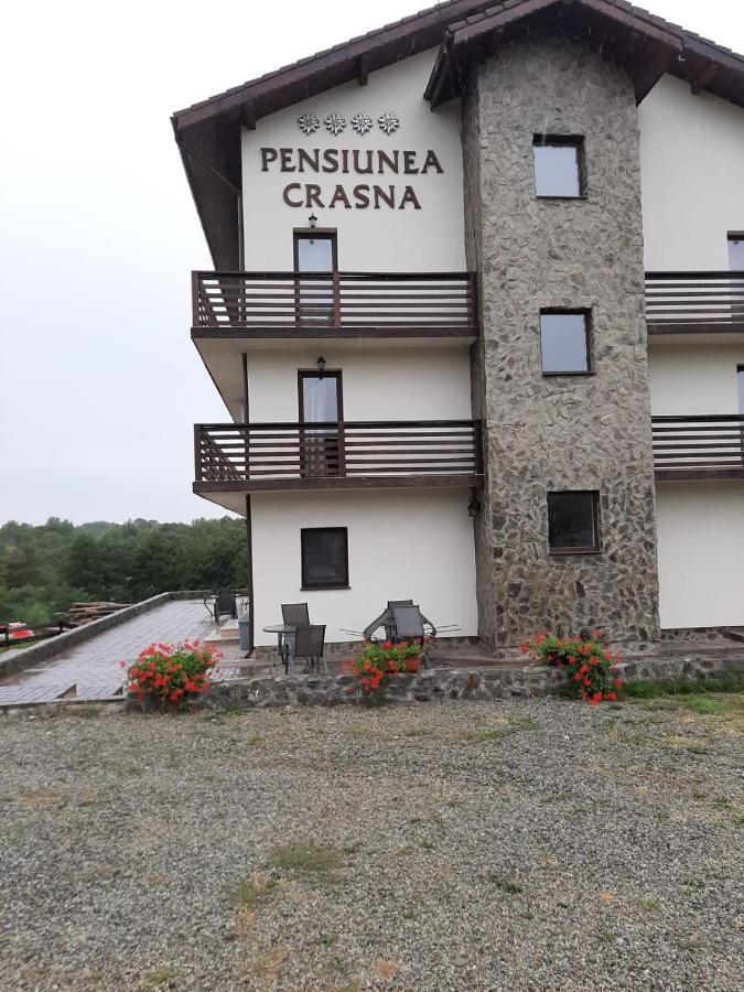 Hotel Complex Transalpina Aninisu din Vale Zewnętrze zdjęcie