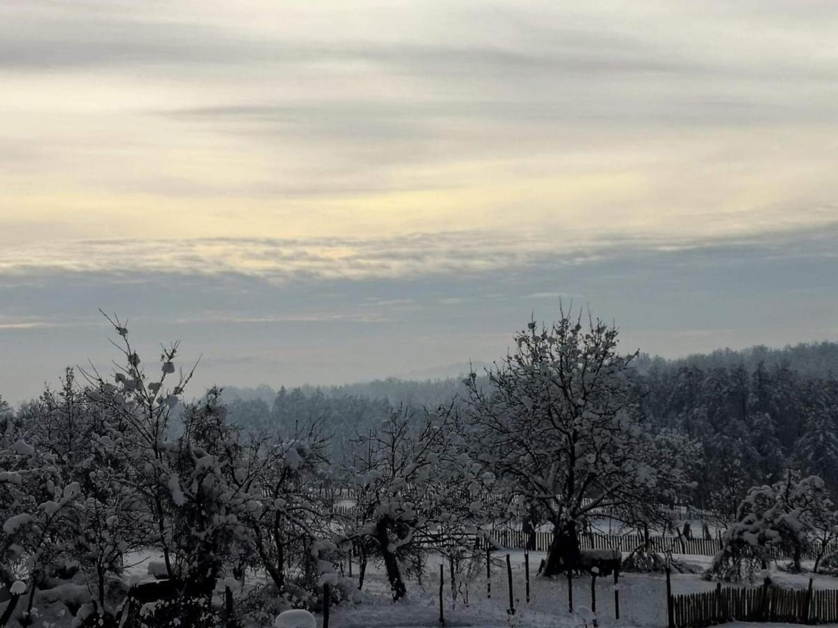 Hotel Complex Transalpina Aninisu din Vale Zewnętrze zdjęcie