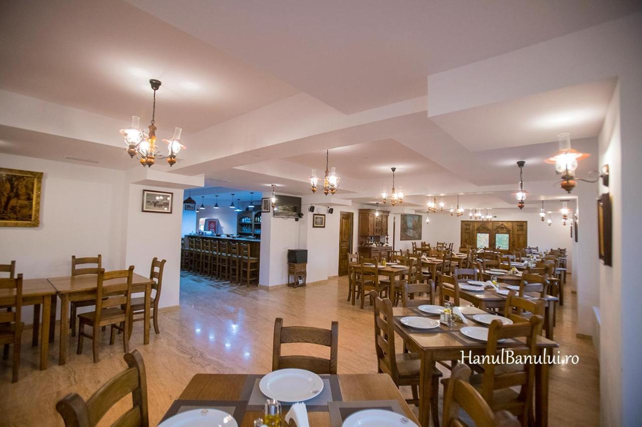 Hotel Complex Transalpina Aninisu din Vale Zewnętrze zdjęcie