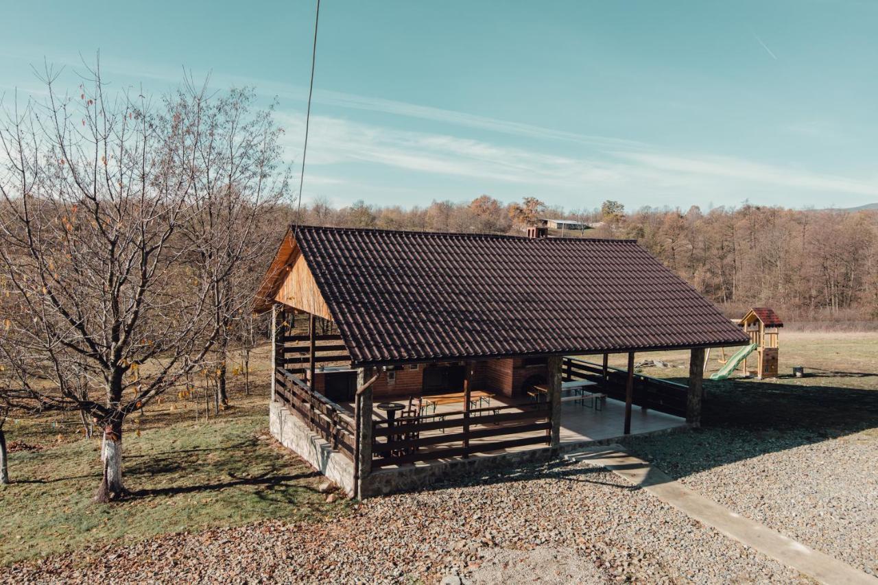 Hotel Complex Transalpina Aninisu din Vale Zewnętrze zdjęcie