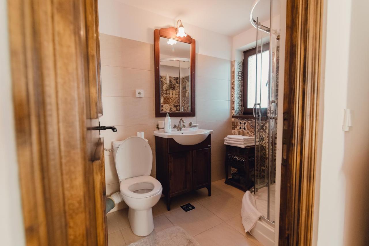 Hotel Complex Transalpina Aninisu din Vale Zewnętrze zdjęcie