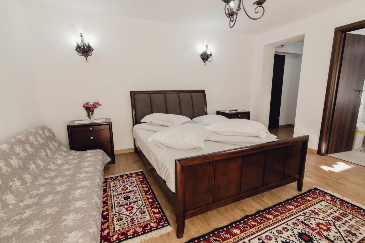 Hotel Complex Transalpina Aninisu din Vale Zewnętrze zdjęcie